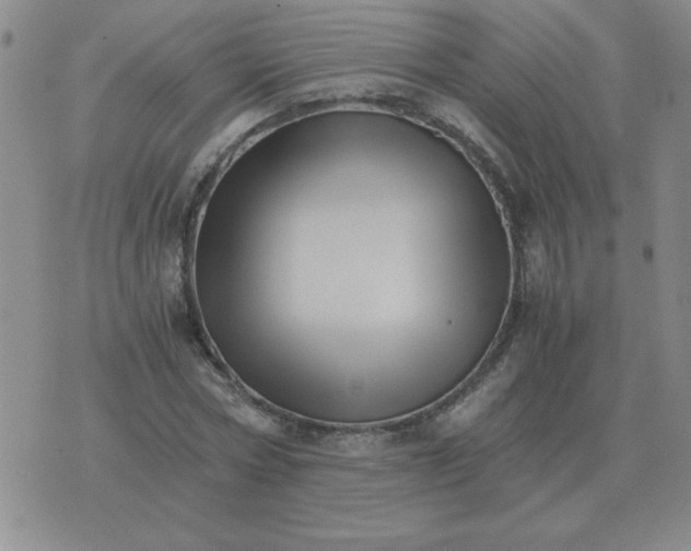 X0000075860778200610061936