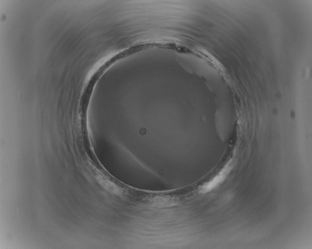 X0000075860779200610061936