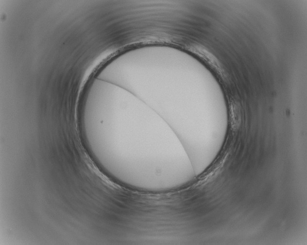 X0000075860780200610061936