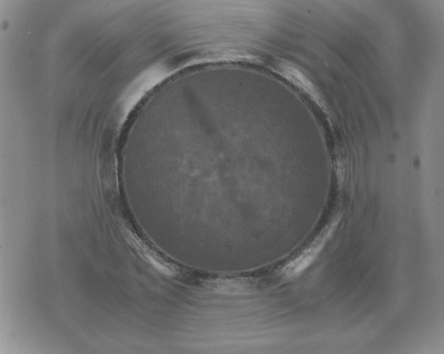 X0000075860781200610061936