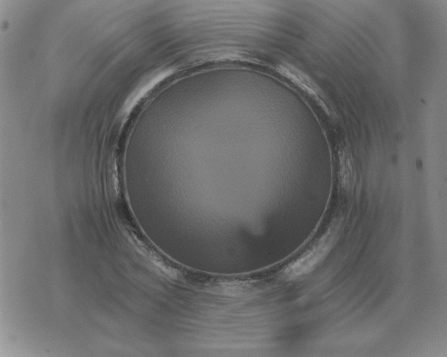 X0000075860782200610061936