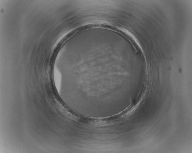 X0000075860783200610061936