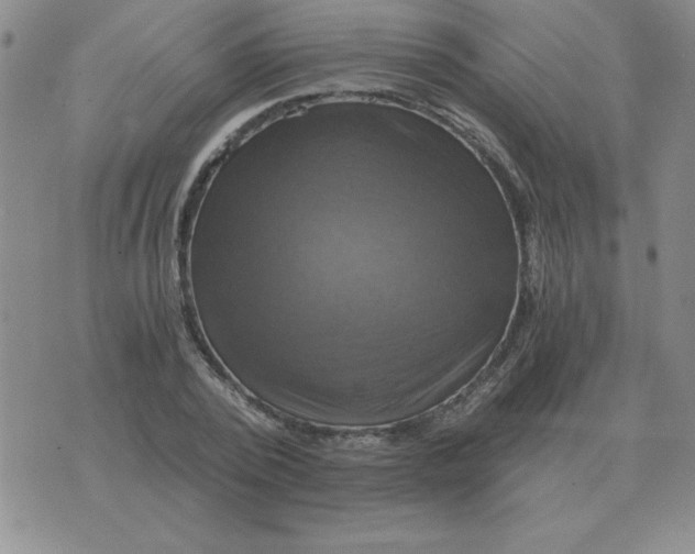 X0000075860784200610061936