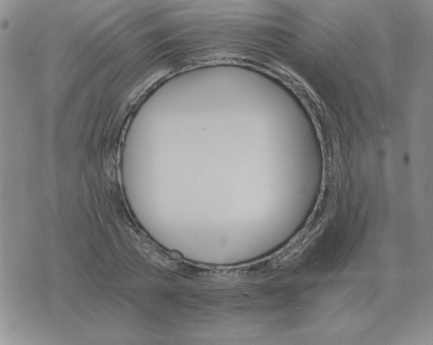 X0000075860785200610061936