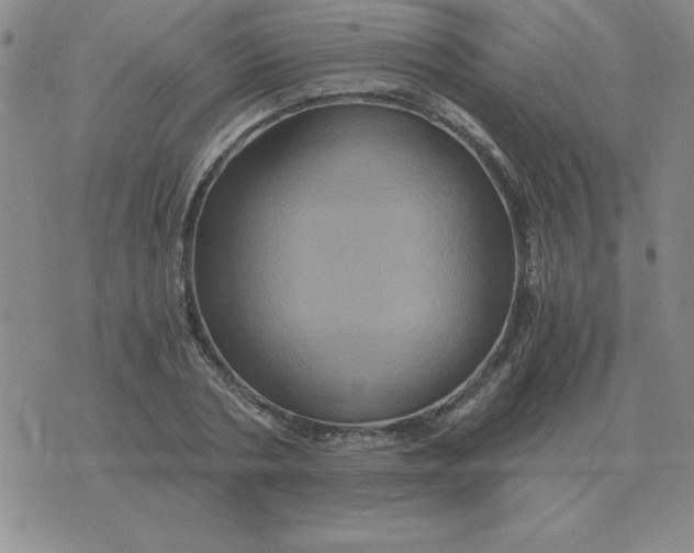 X0000075860786200610061936