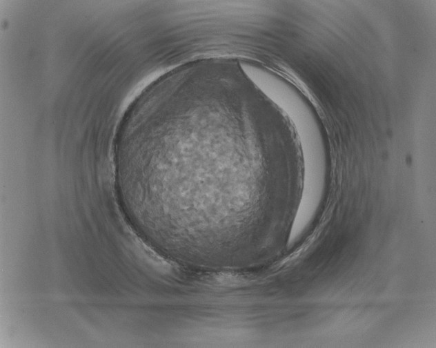 X0000075860787200610061936