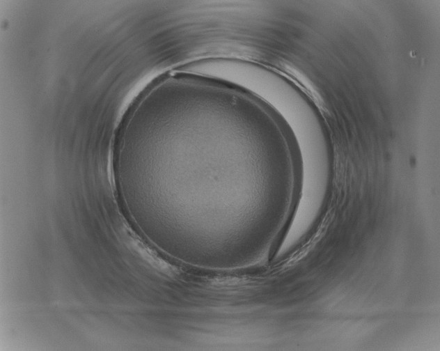 X0000075860788200610061936