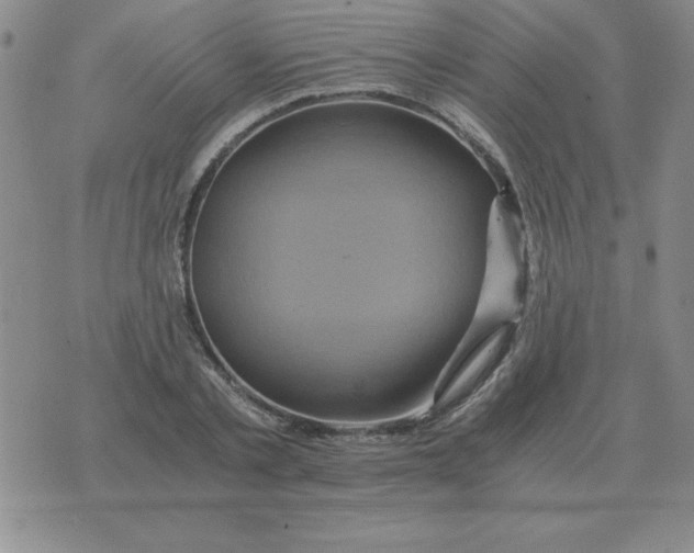 X0000075860789200610061936