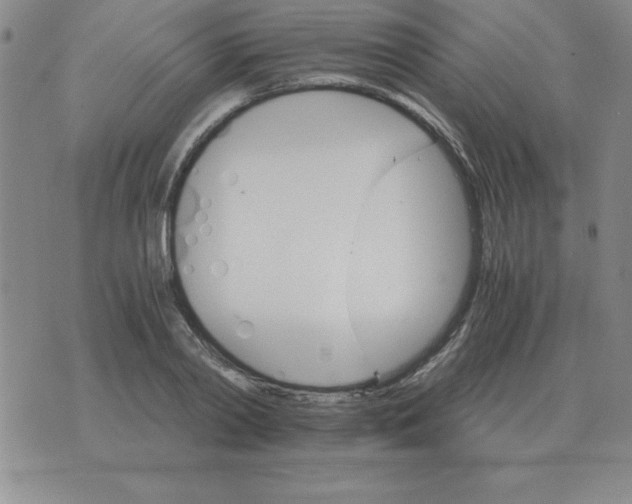 X0000075860790200610061936