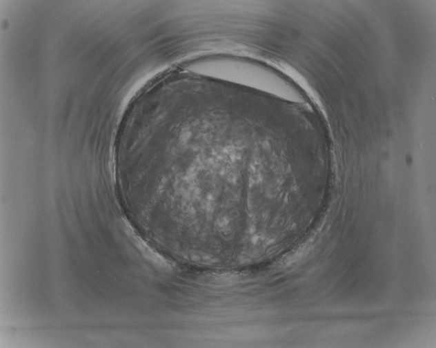 X0000075860791200610061936