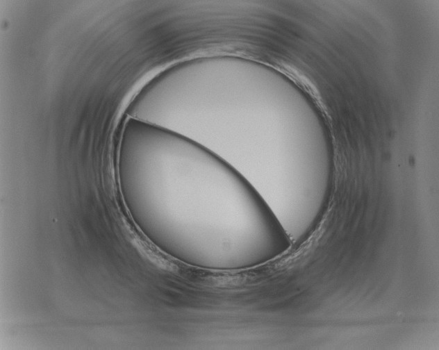 X0000075860792200610061936