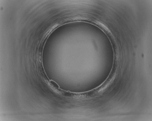 X0000075860793200610061936