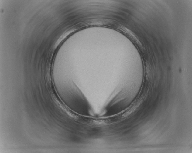 X0000075860794200610061936