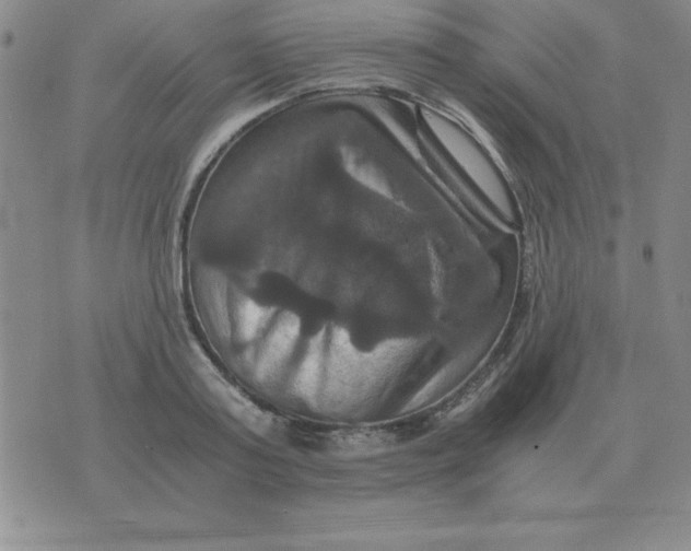 X0000075860795200610061936