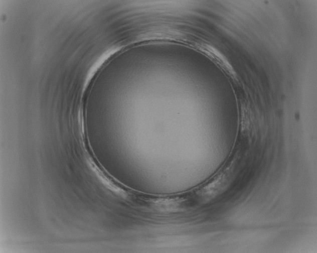 X0000075860796200610061936