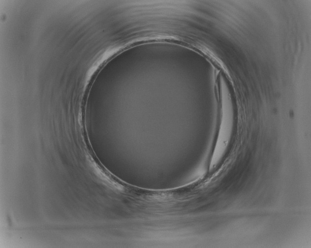 X0000075860797200610061936