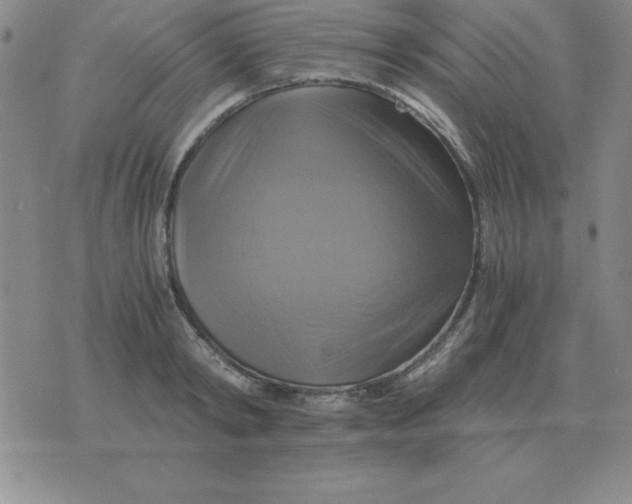 X0000075860798200610061936