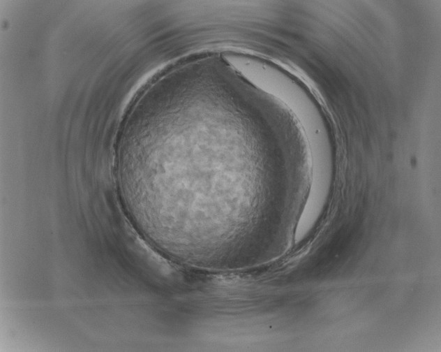 X0000075860799200610061936