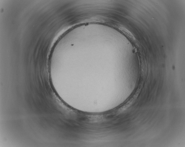 X0000075860800200610061936