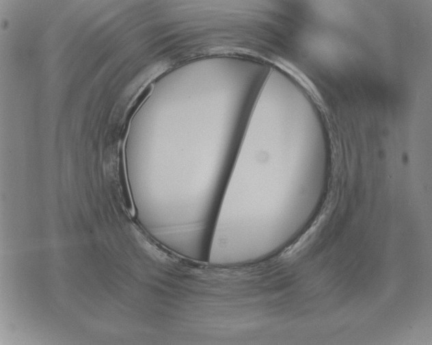 X0000075860801200610061936