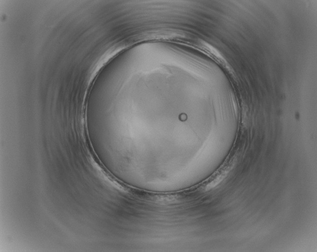 X0000075860802200610061936