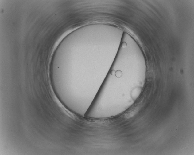 X0000075860803200610061936