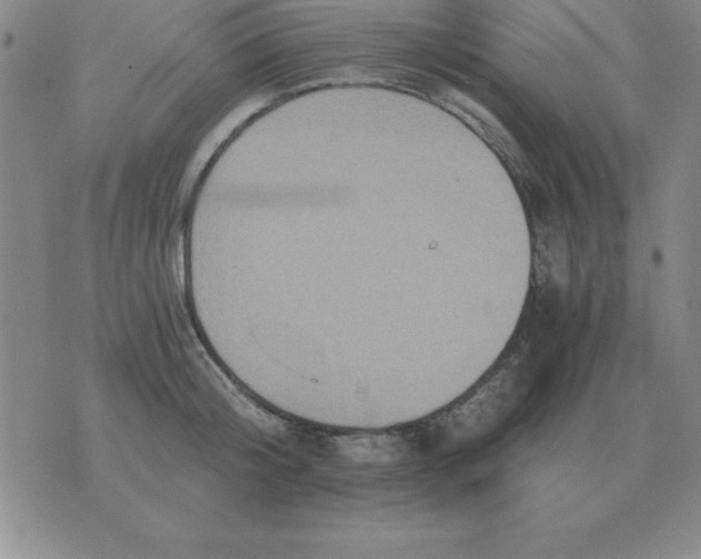 X0000075860804200610061936