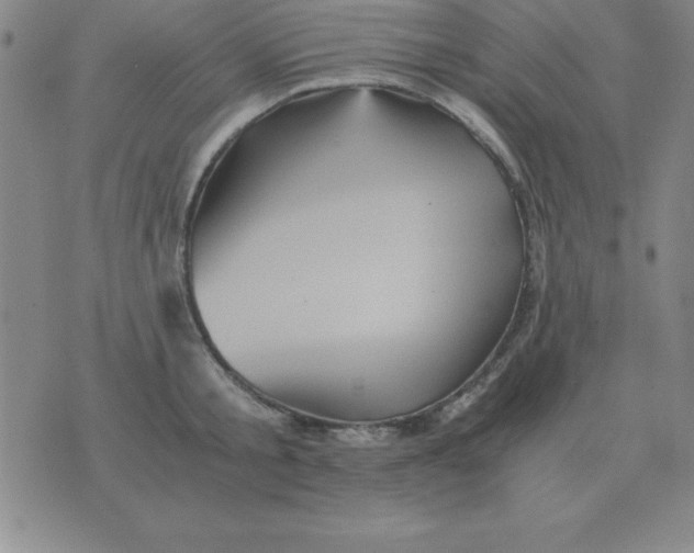 X0000075860805200610061936