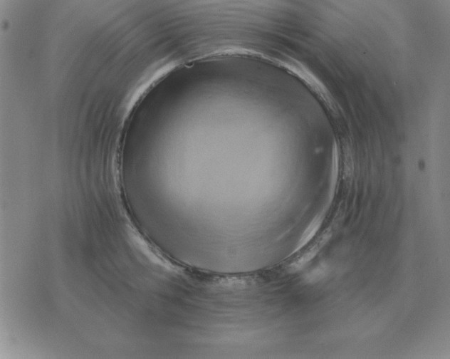 X0000075860806200610061936