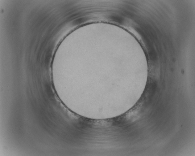 X0000075860807200610061936