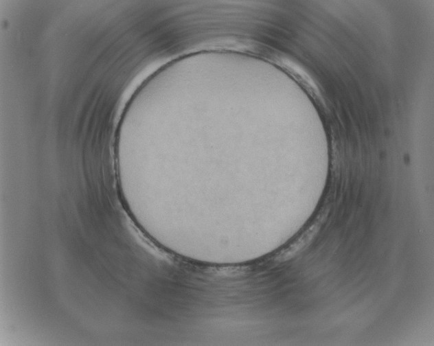 X0000075860808200610061936