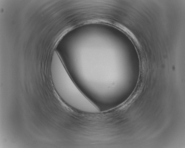 X0000075860809200610061936