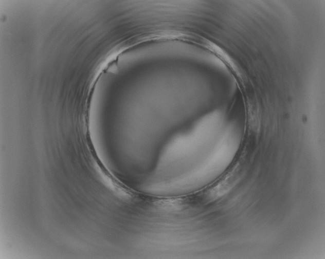 X0000075860810200610061936