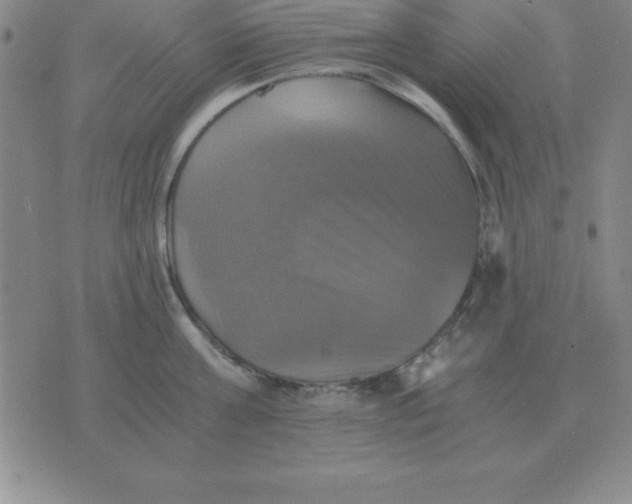 X0000075860811200610061936