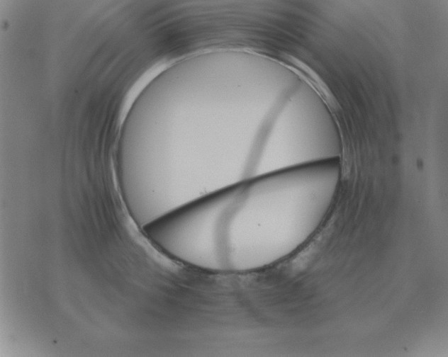 X0000075860812200610061935