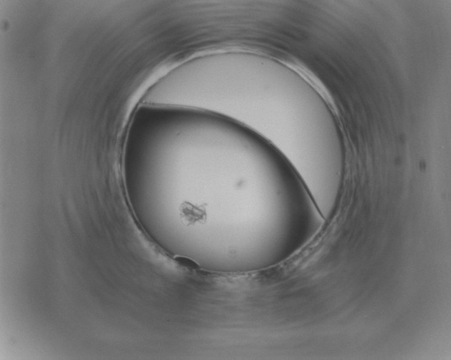 X0000075860813200610061935