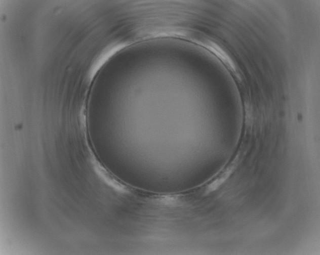 X0000075860814200610061935