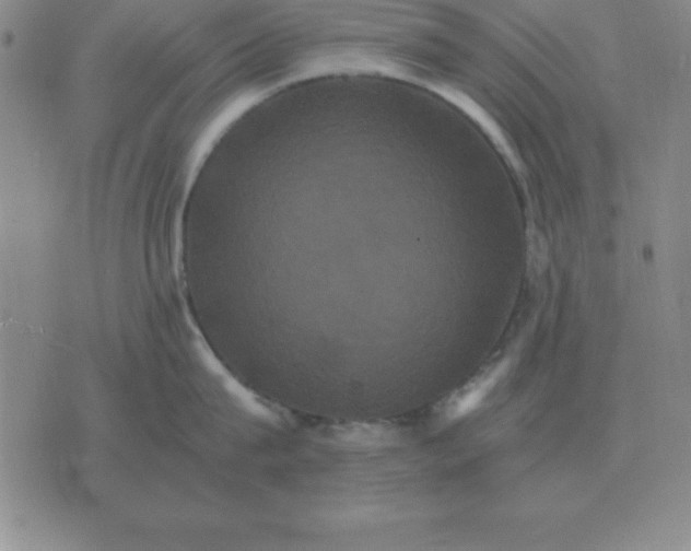 X0000075860815200610061935