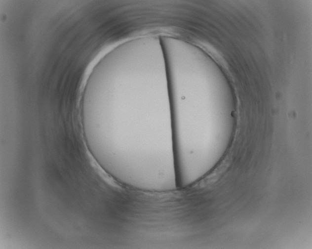 X0000075860816200610061935