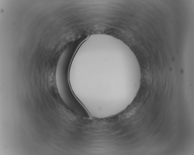 X0000075860818200610061935