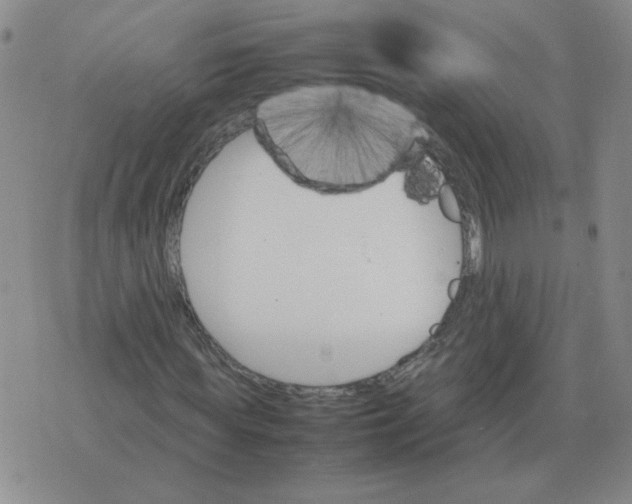 X0000075860819200610061935