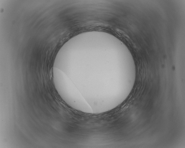 X0000075860820200610061935