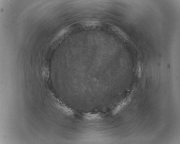 X0000075860821200610061935