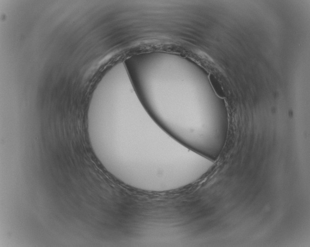 X0000075860822200610061935