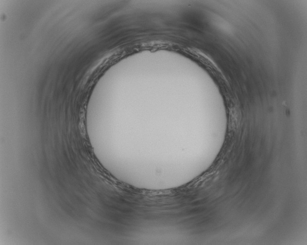 X0000075860823200610061935