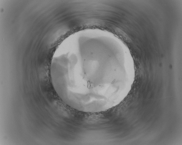 X0000075860824200610061935