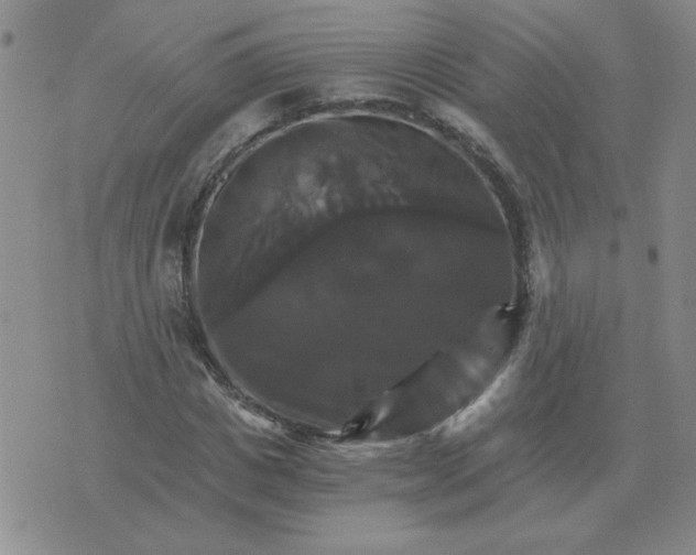 X0000075860825200610061935