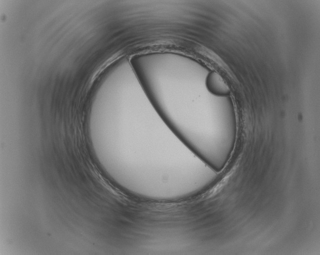 X0000075860826200610061935