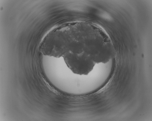 X0000075860827200610061935