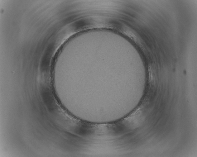 X0000075860828200610061935